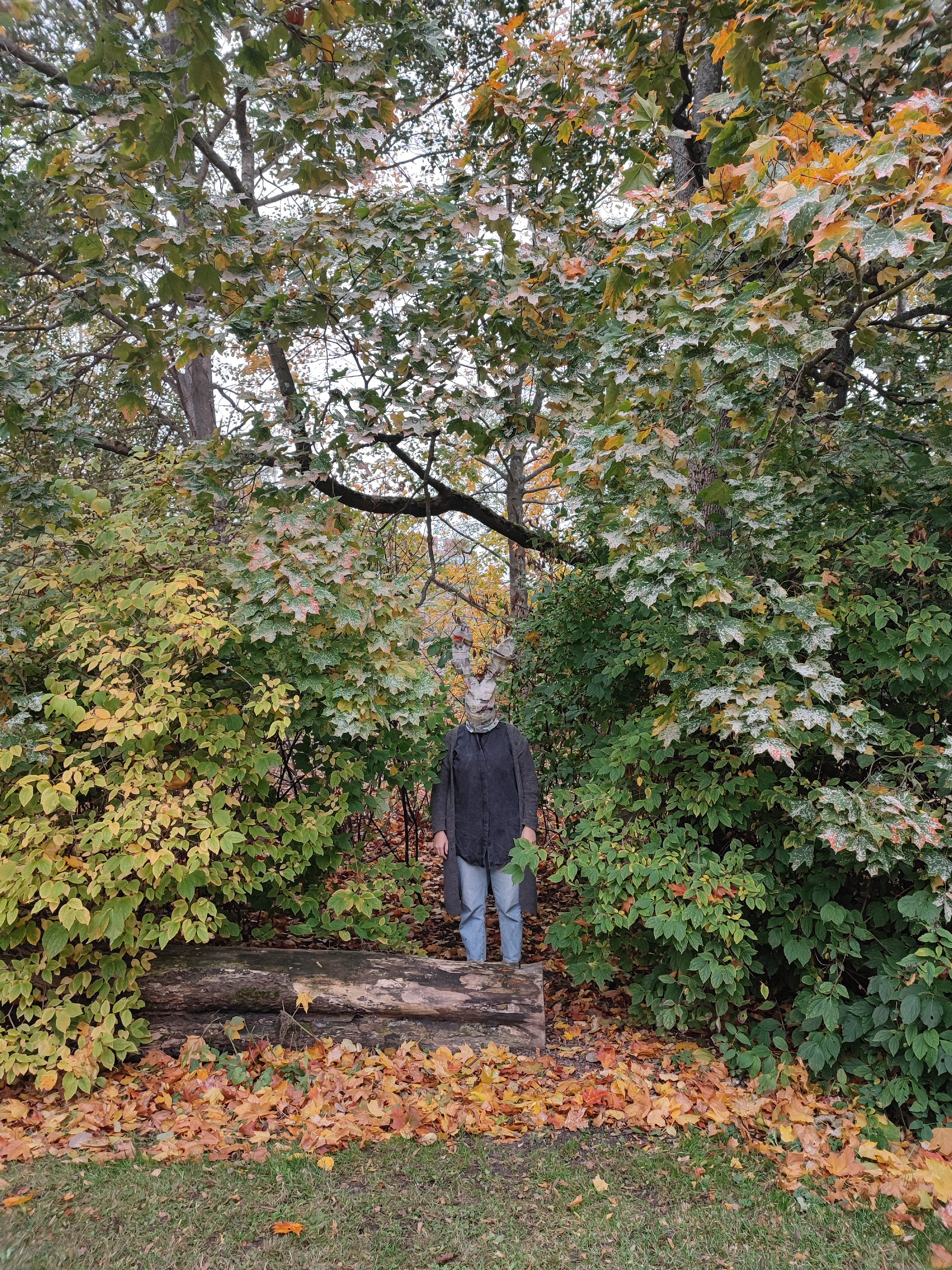 How to Life: The Rabbit Hole