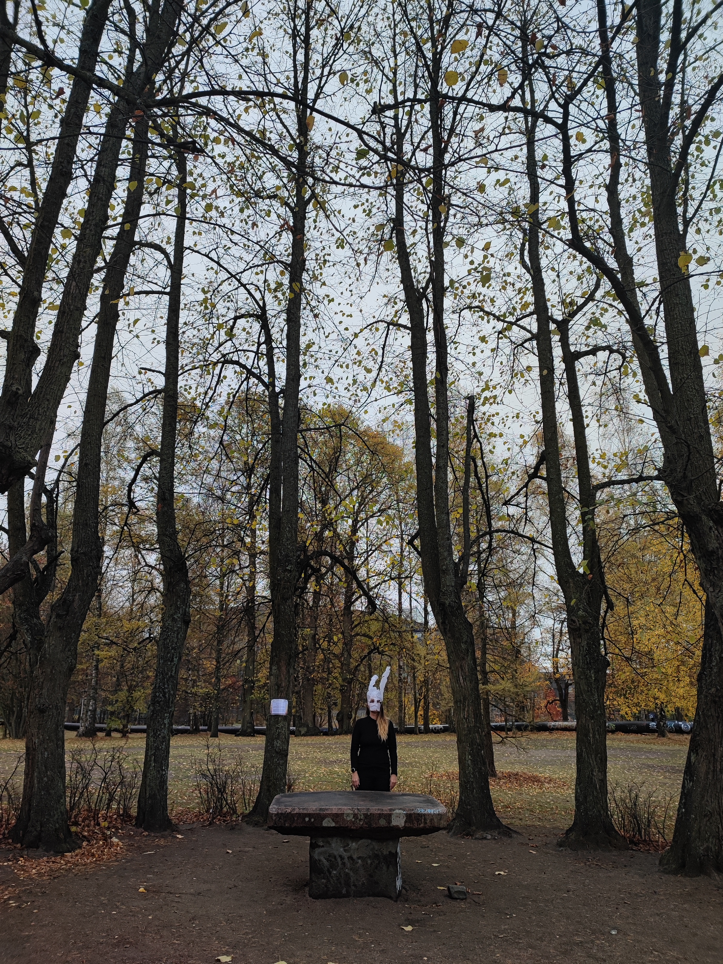 How to Life: The Rabbit Hole