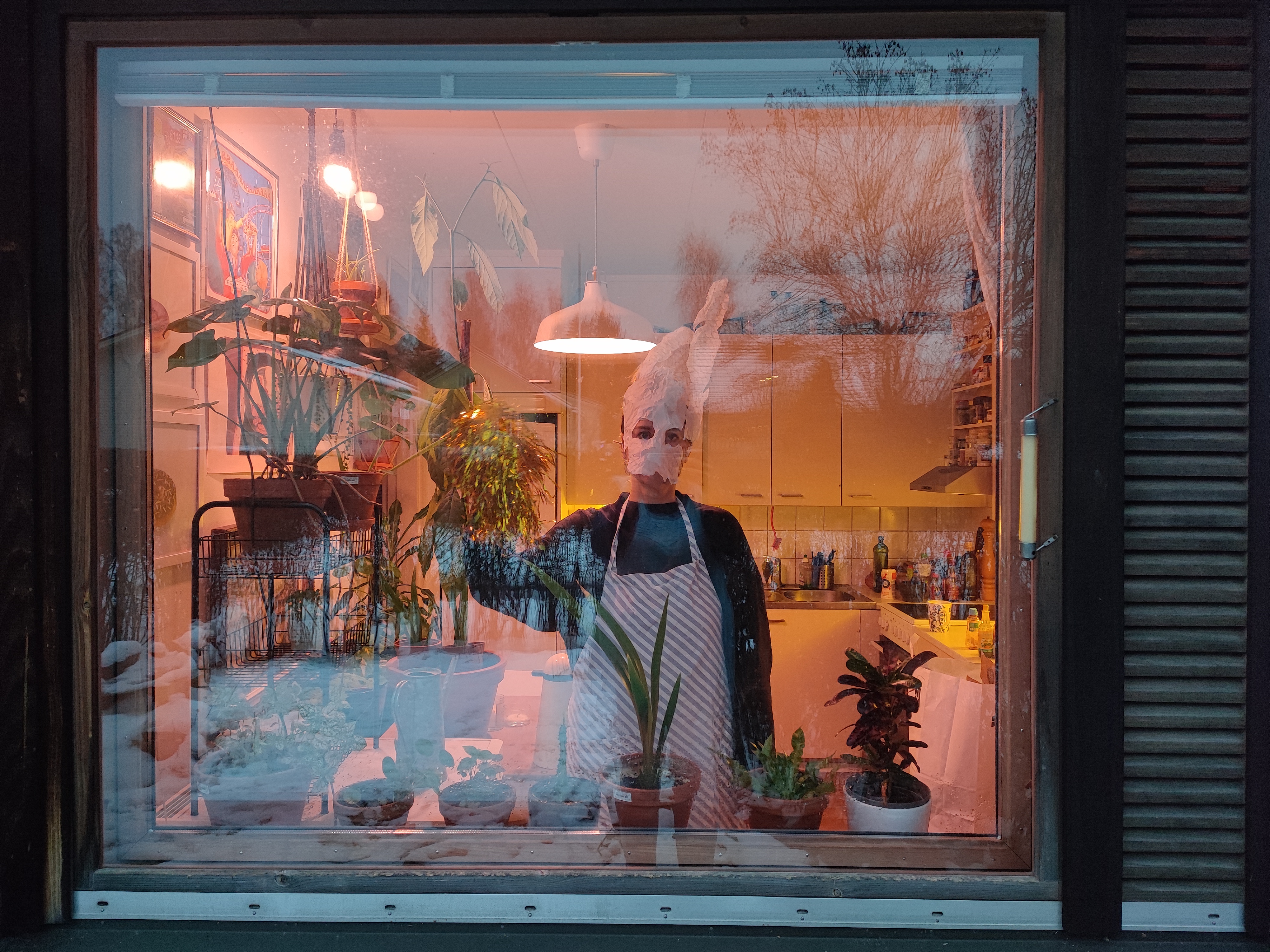 How to Life: The Rabbit Hole