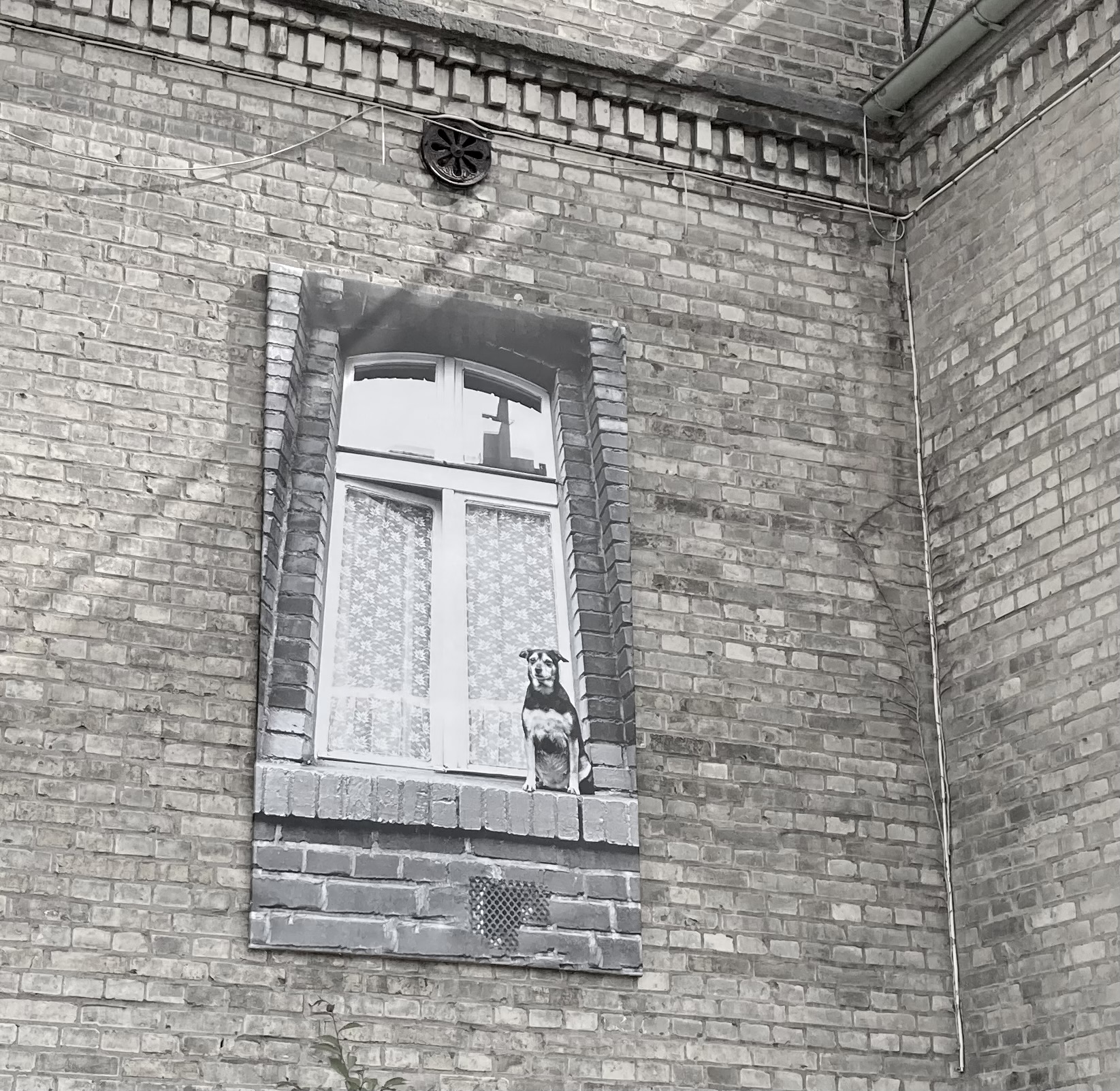 SZPILKA - Joanna Helander