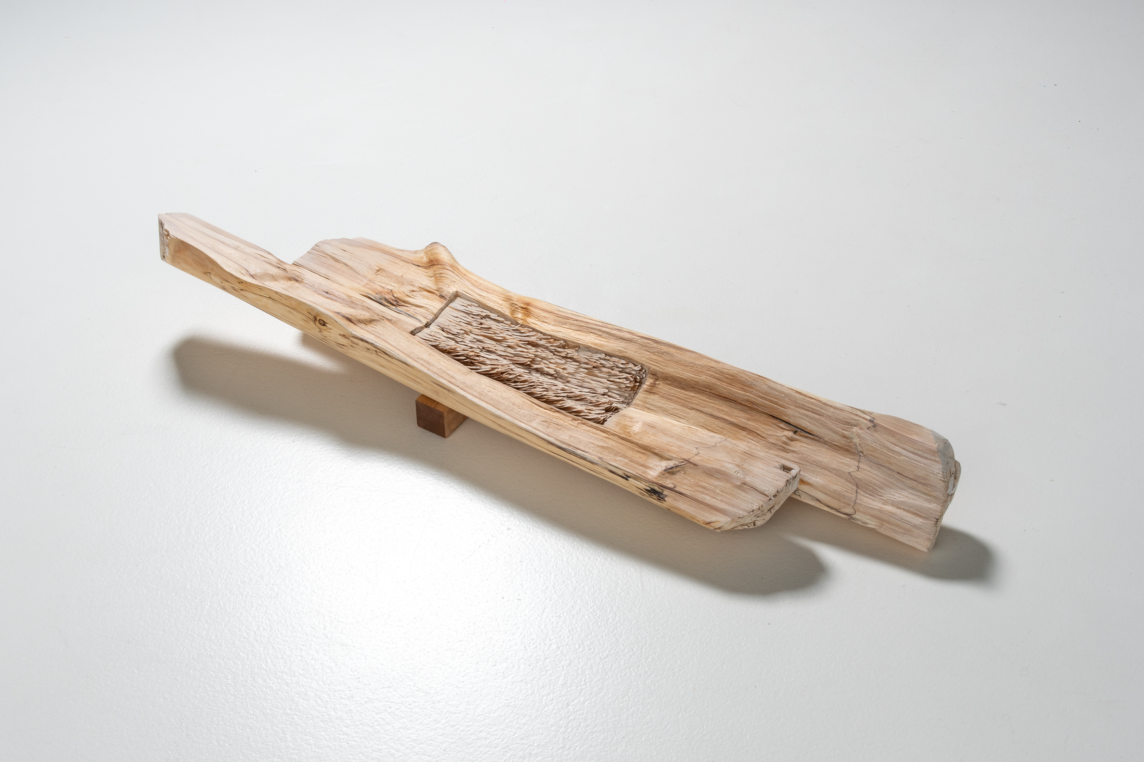 Feather Branches III
Year 2024
Birch Wood, Ink, Tung oil
ⒸDidi NG Wing Yin