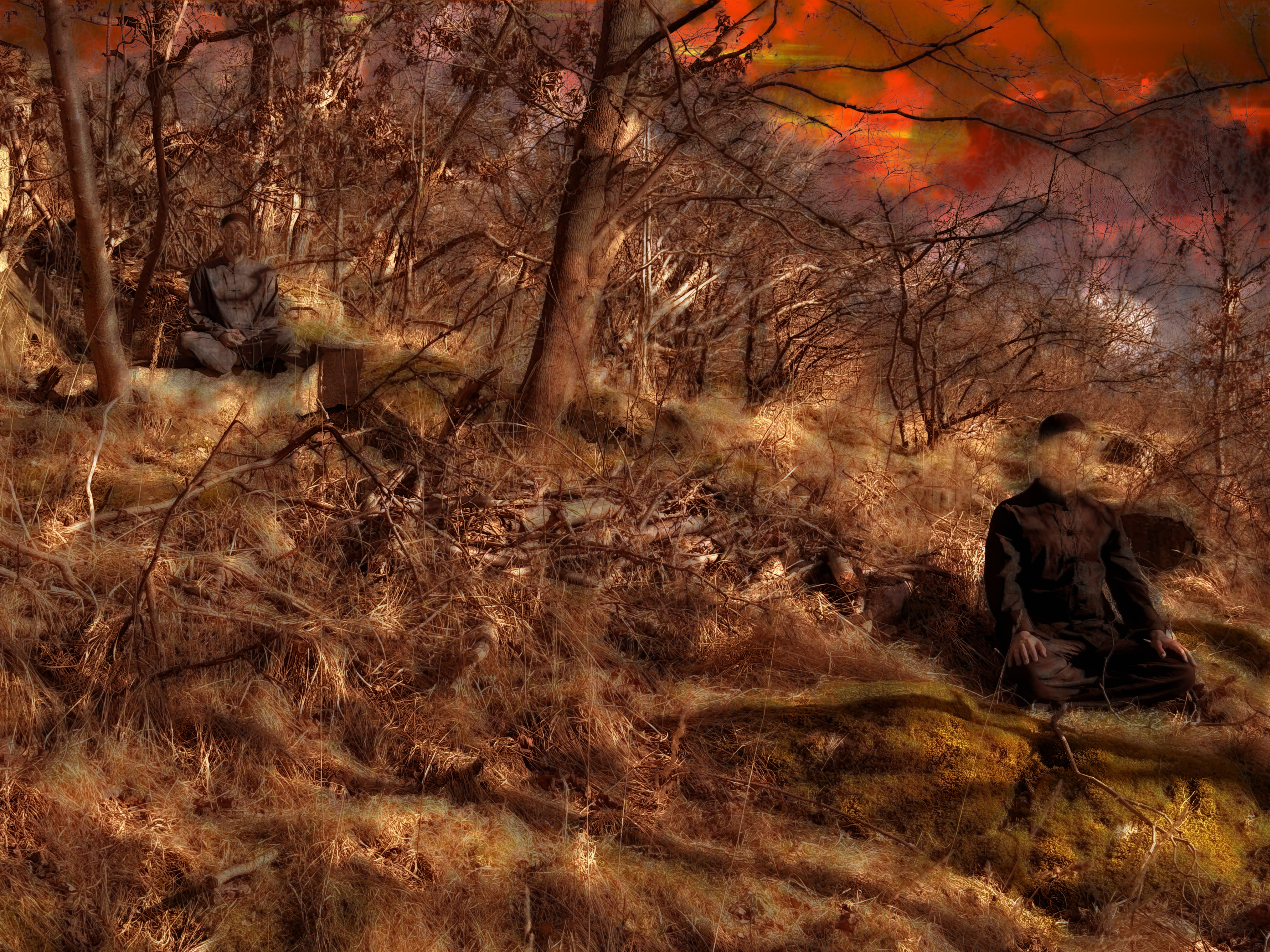 Fotograf: Josephine Gray