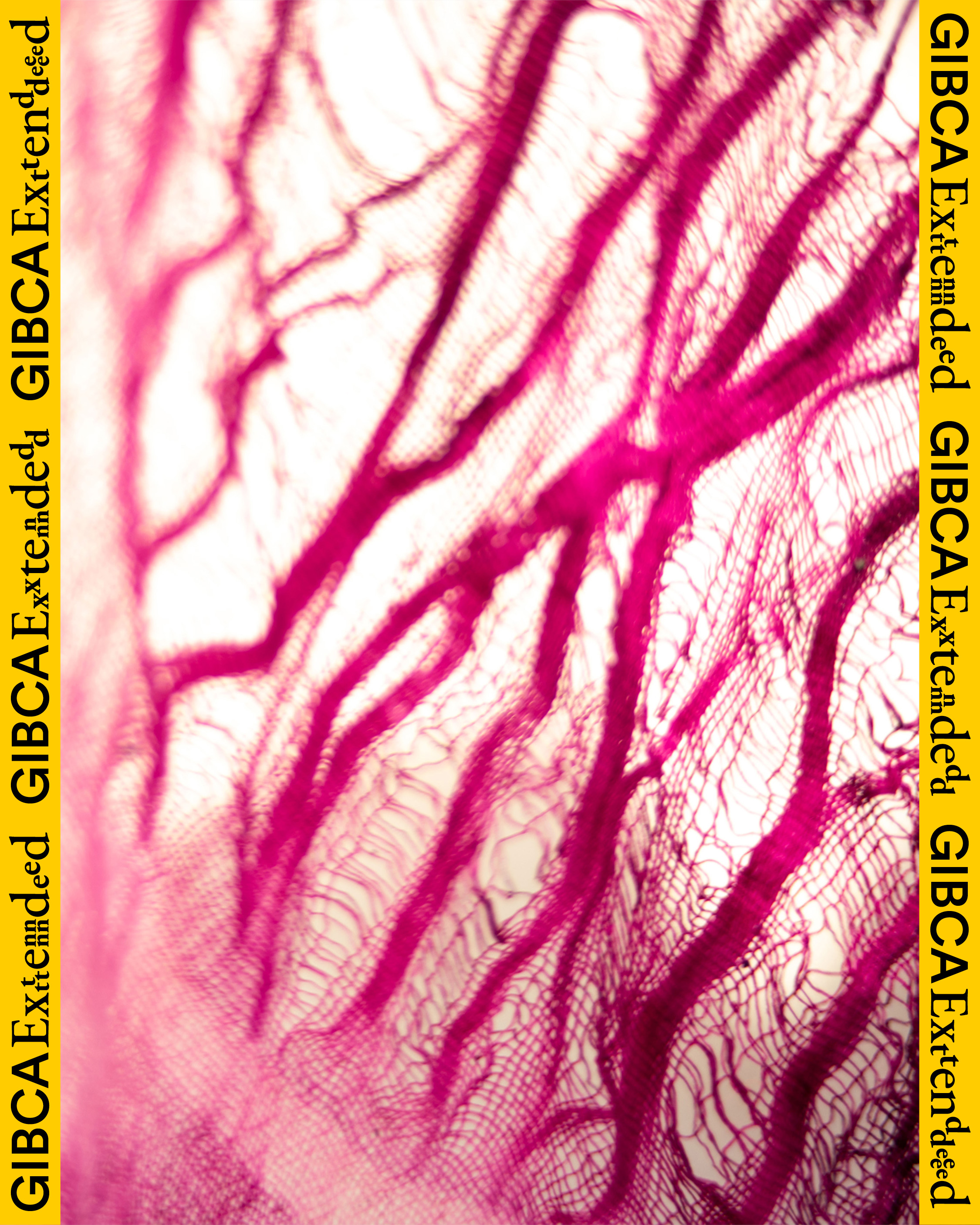 VÄVNAD - K. Kent Grundberg