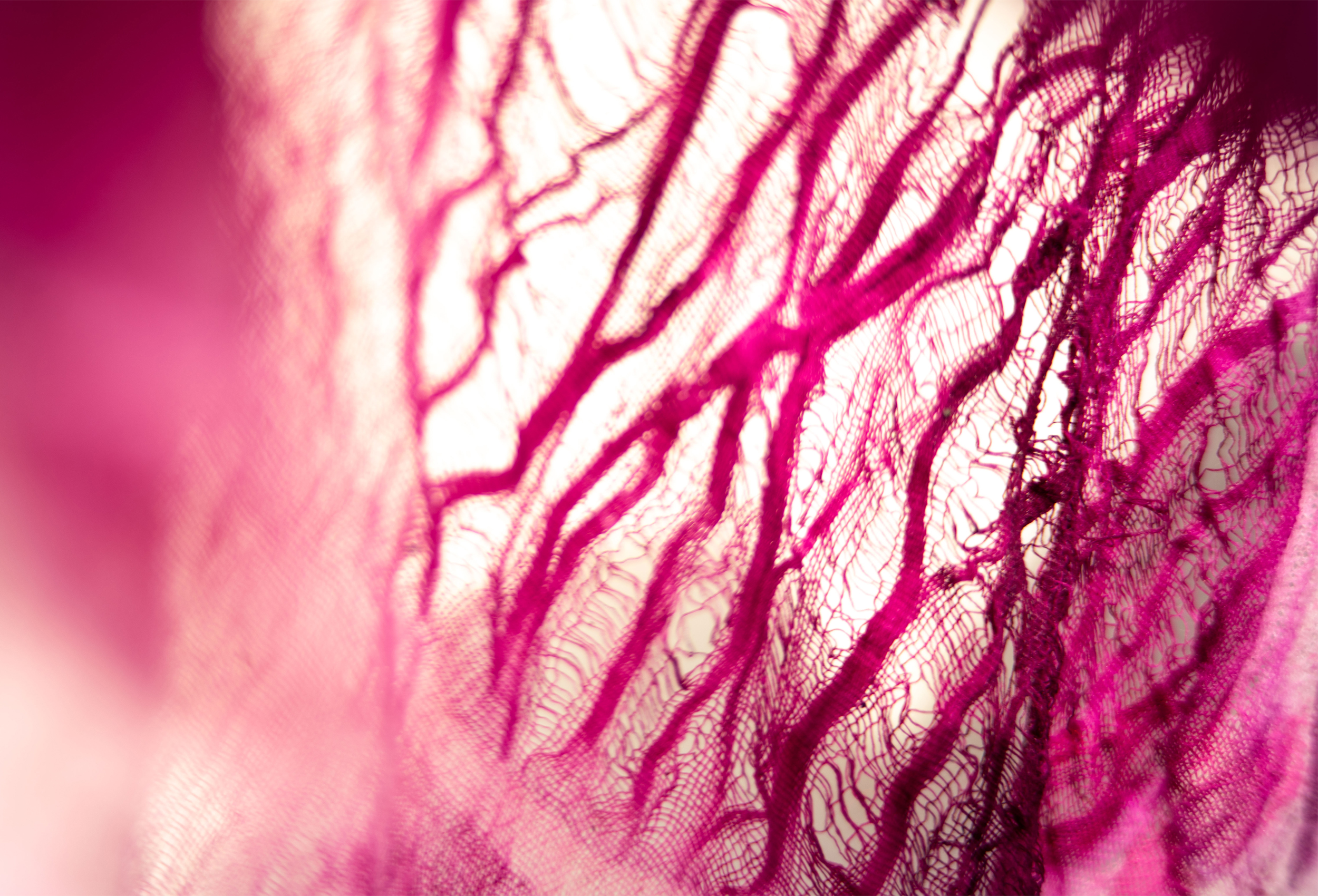 K Kent Grundberg. Auf Wiedersehn, Anthropocene..!. Mixed media, 2025. Fotograf: Still Sam.