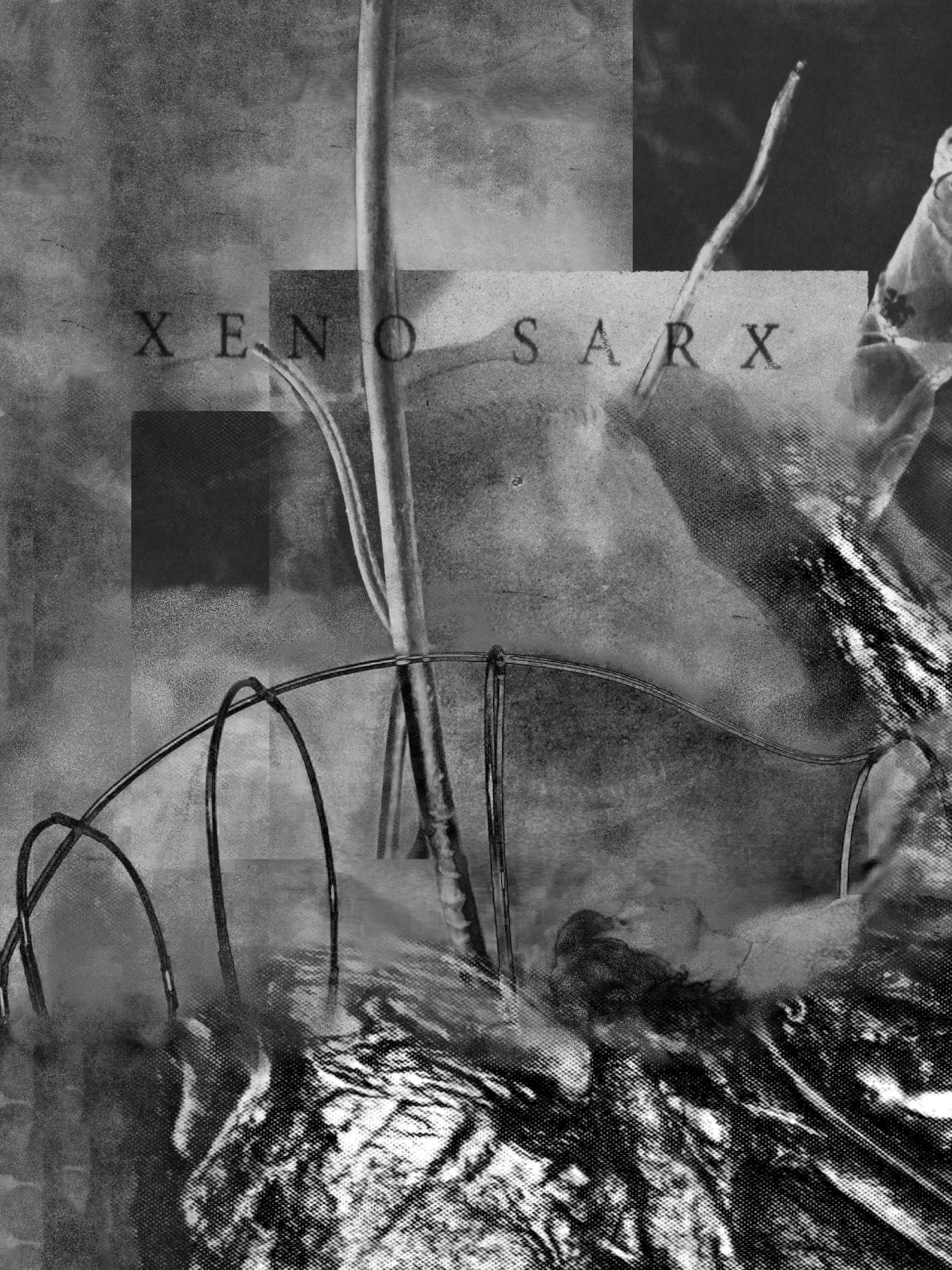 Xeno Sarx poster © Last Oblivion