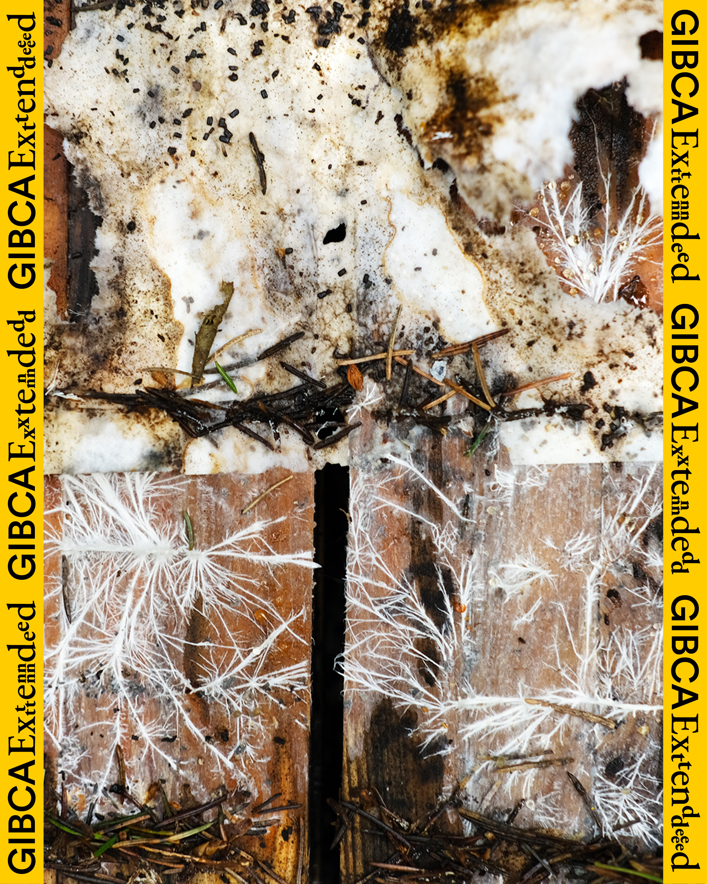 Detalj från (Materiella) Platsinspelningar av MASU. 