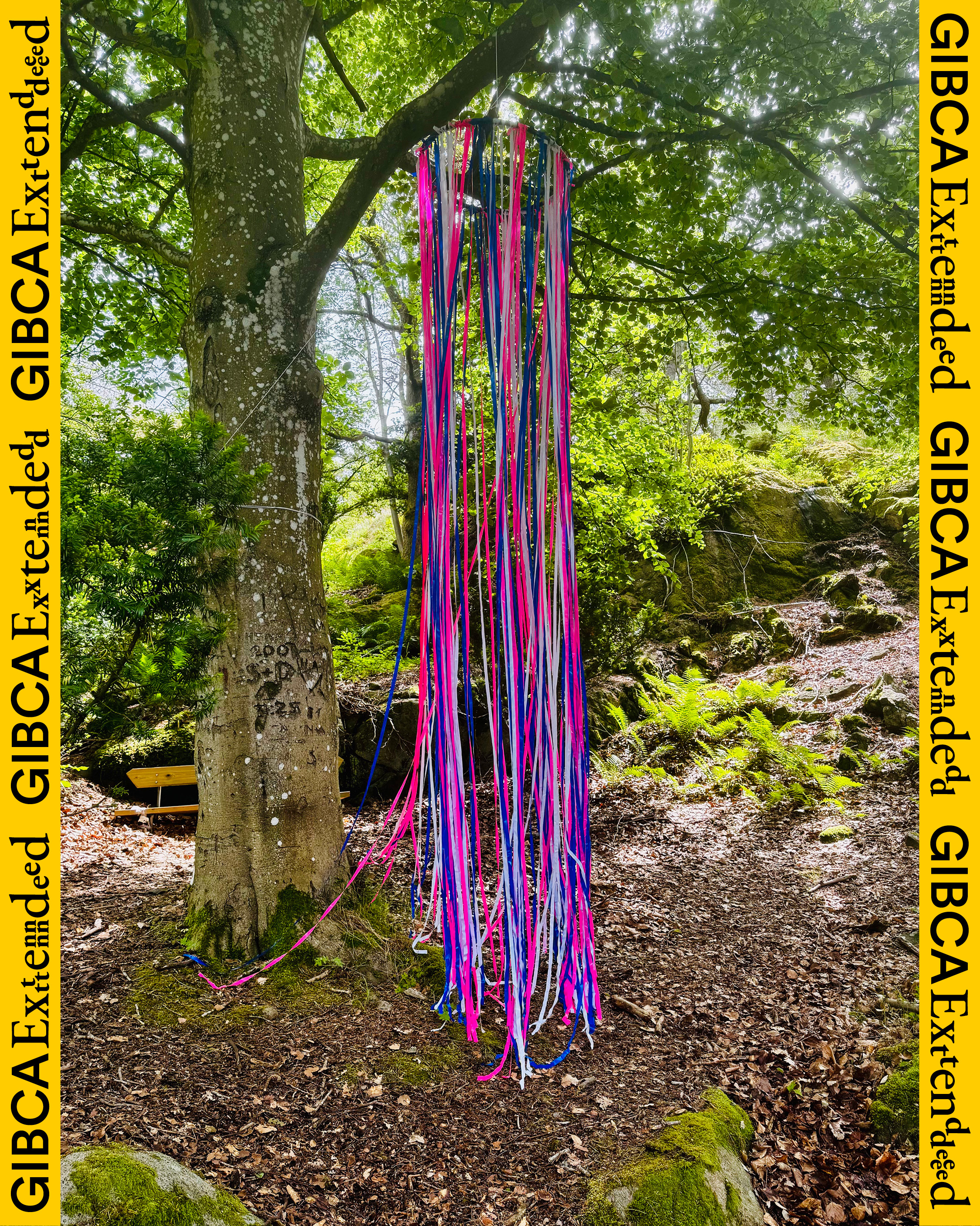 Trans-formation - Nikolas Nilsson Falkholt. Öppningskväll för Linnéklustret.