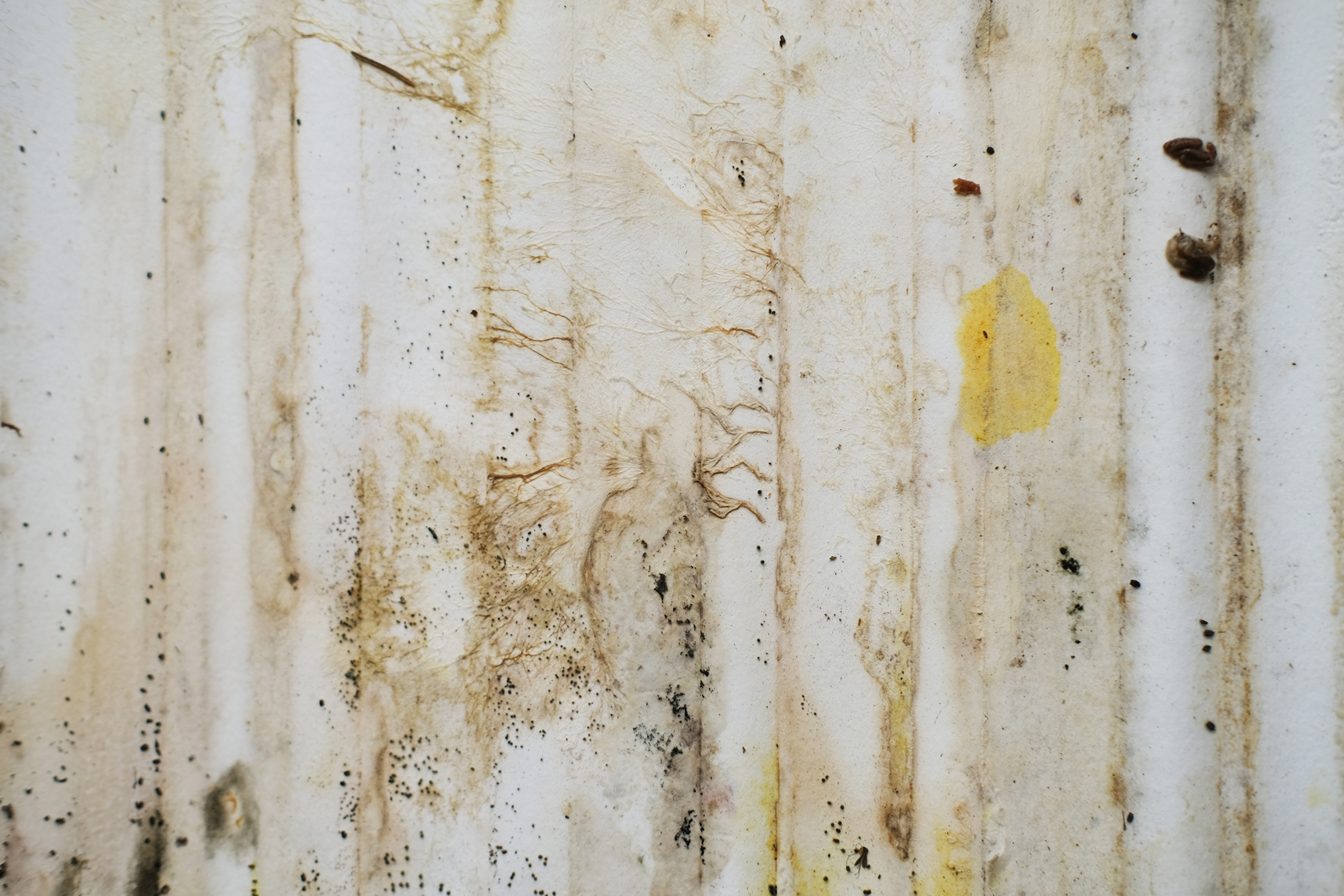 Teckna-med-skogen (detalj)