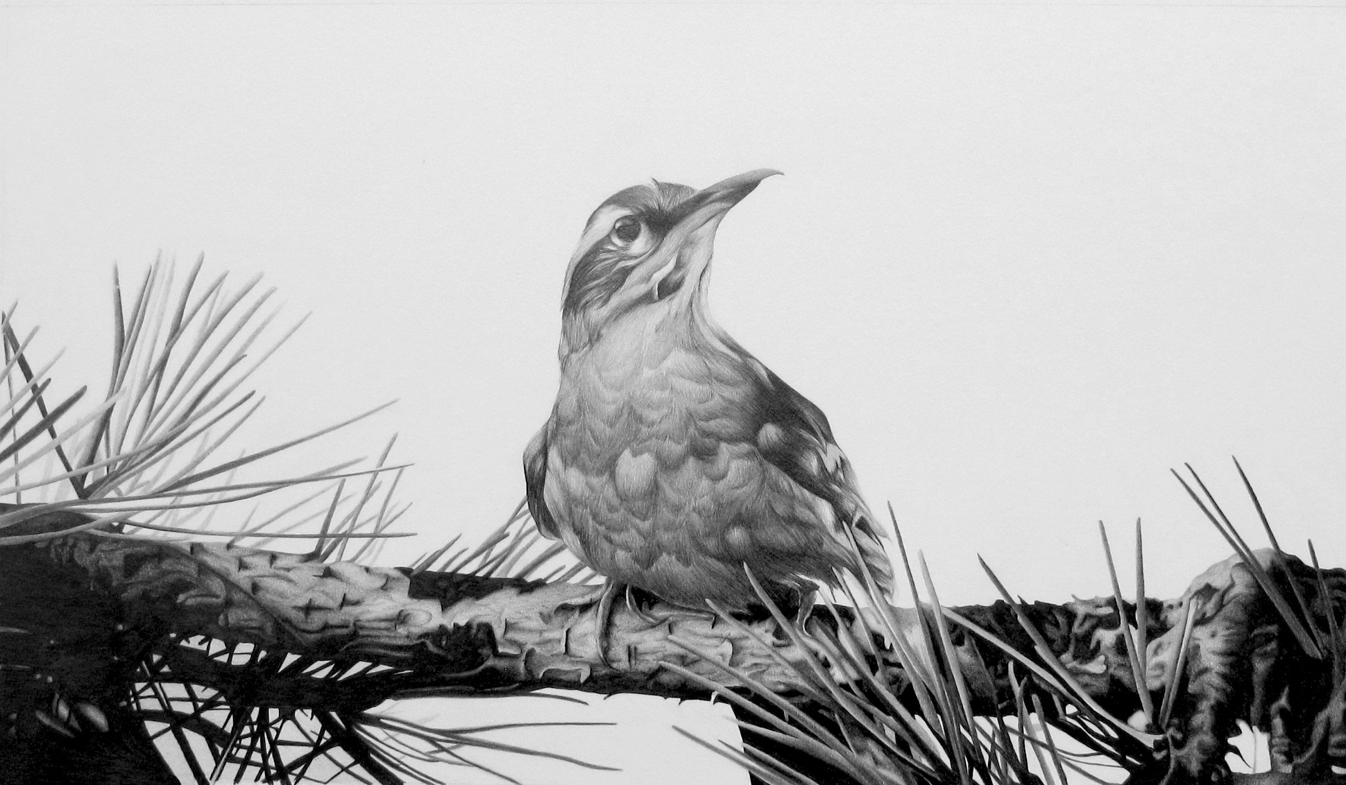 “A Different Song”, blyant på papir, 36 x 60 cm, 2011/2024