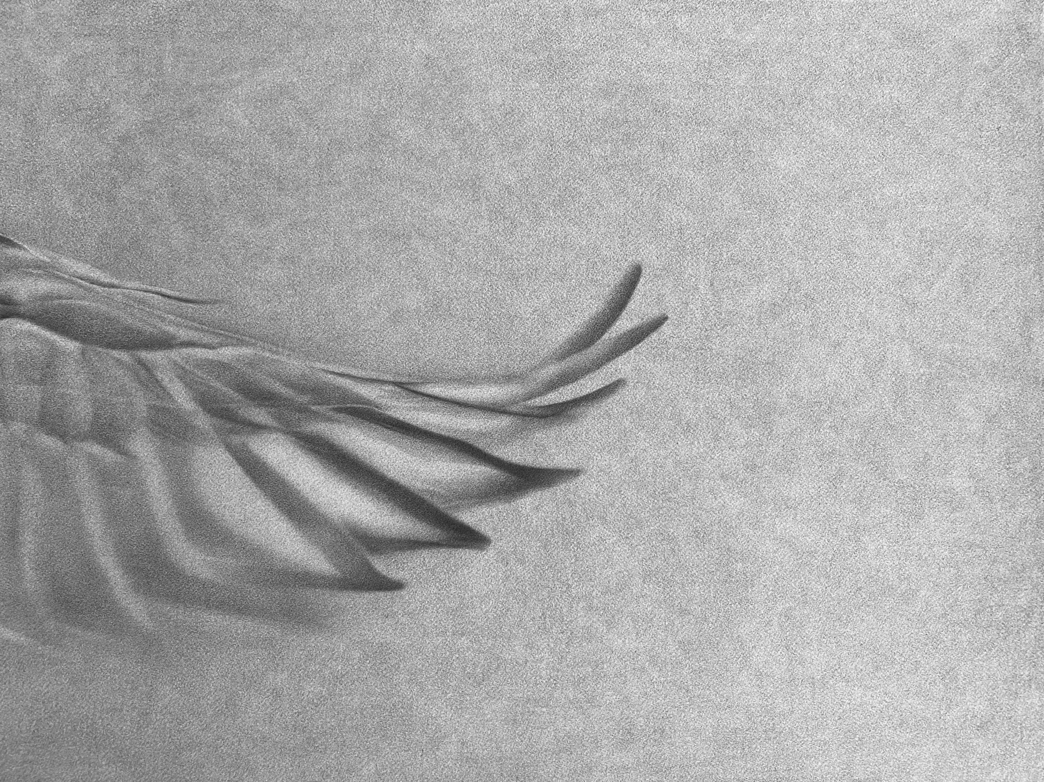 	Magnhild Opdøl, One Flew East One Flew West, pencil on aquarelle paper, 49,5 x 64, 5 cm, 2023