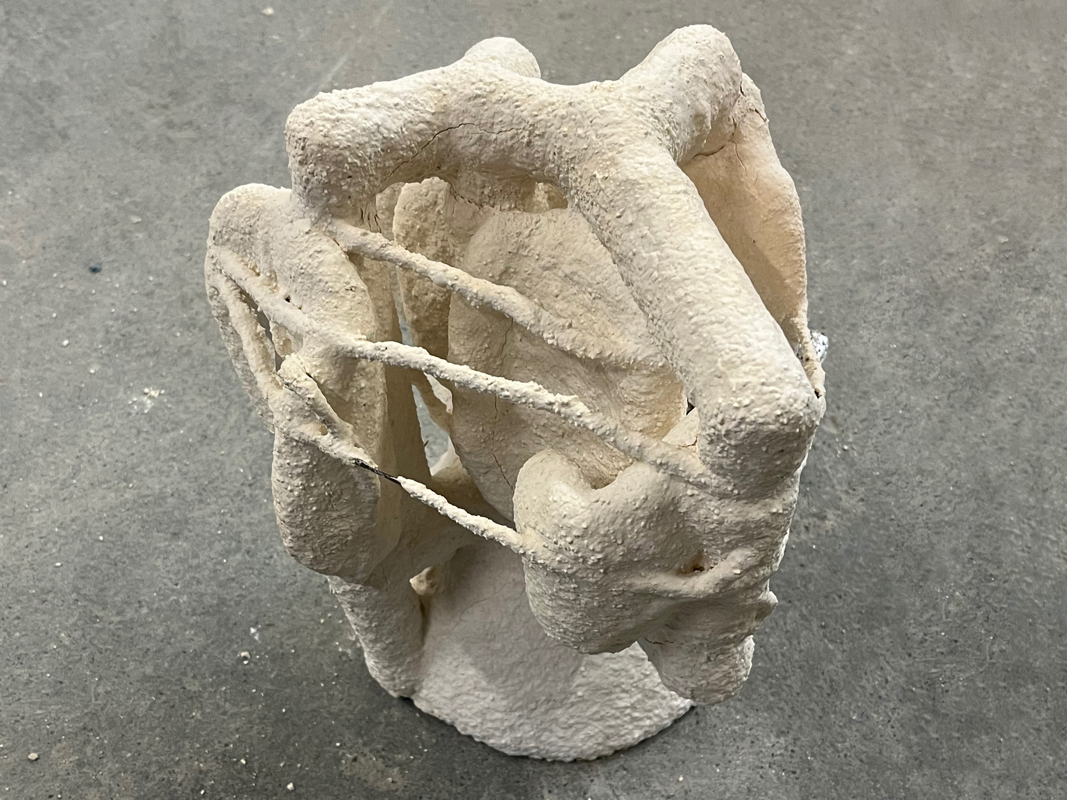 Carina Emery, work in progress, 2026