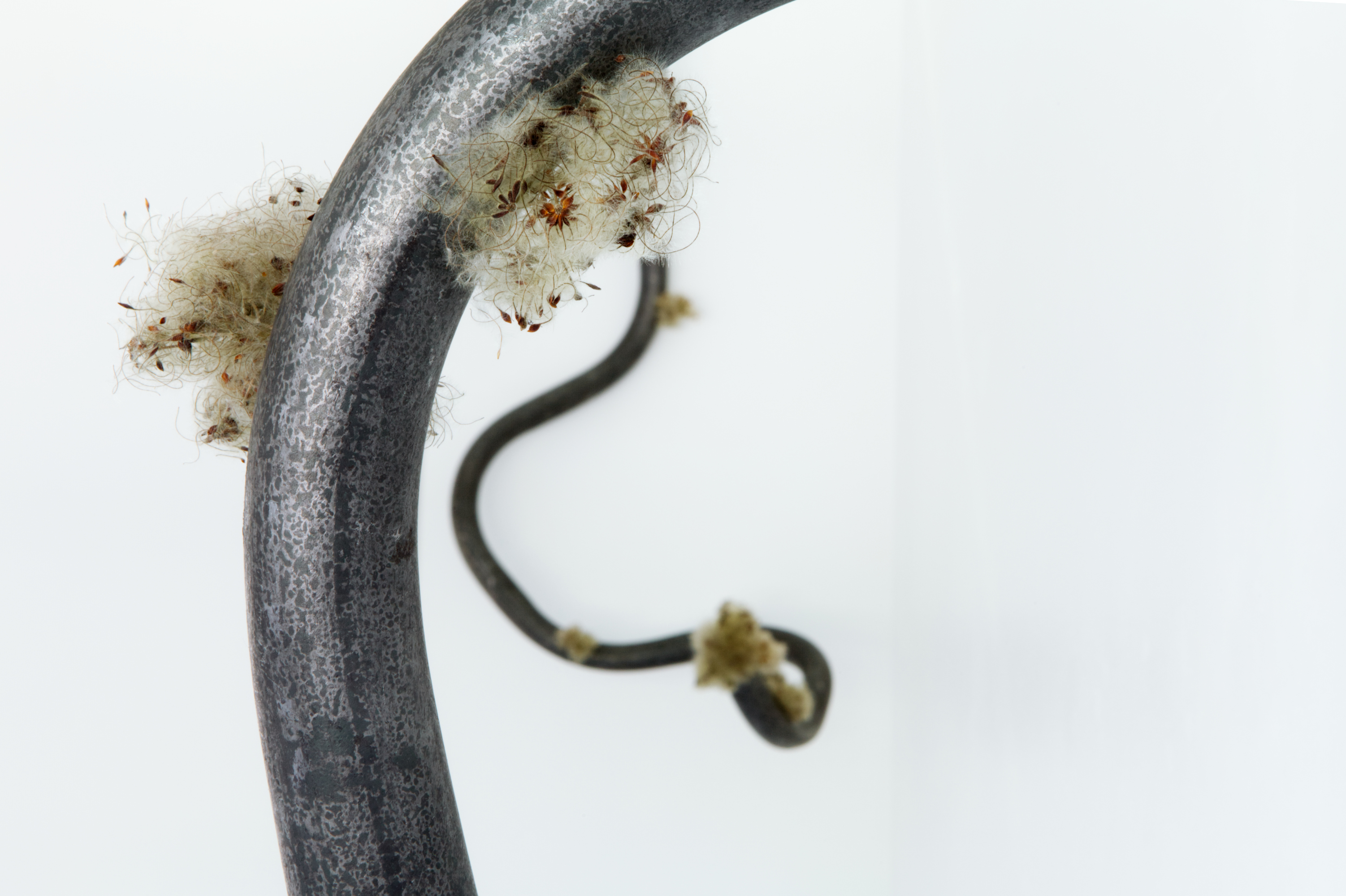 It tickles - My Sjöberg