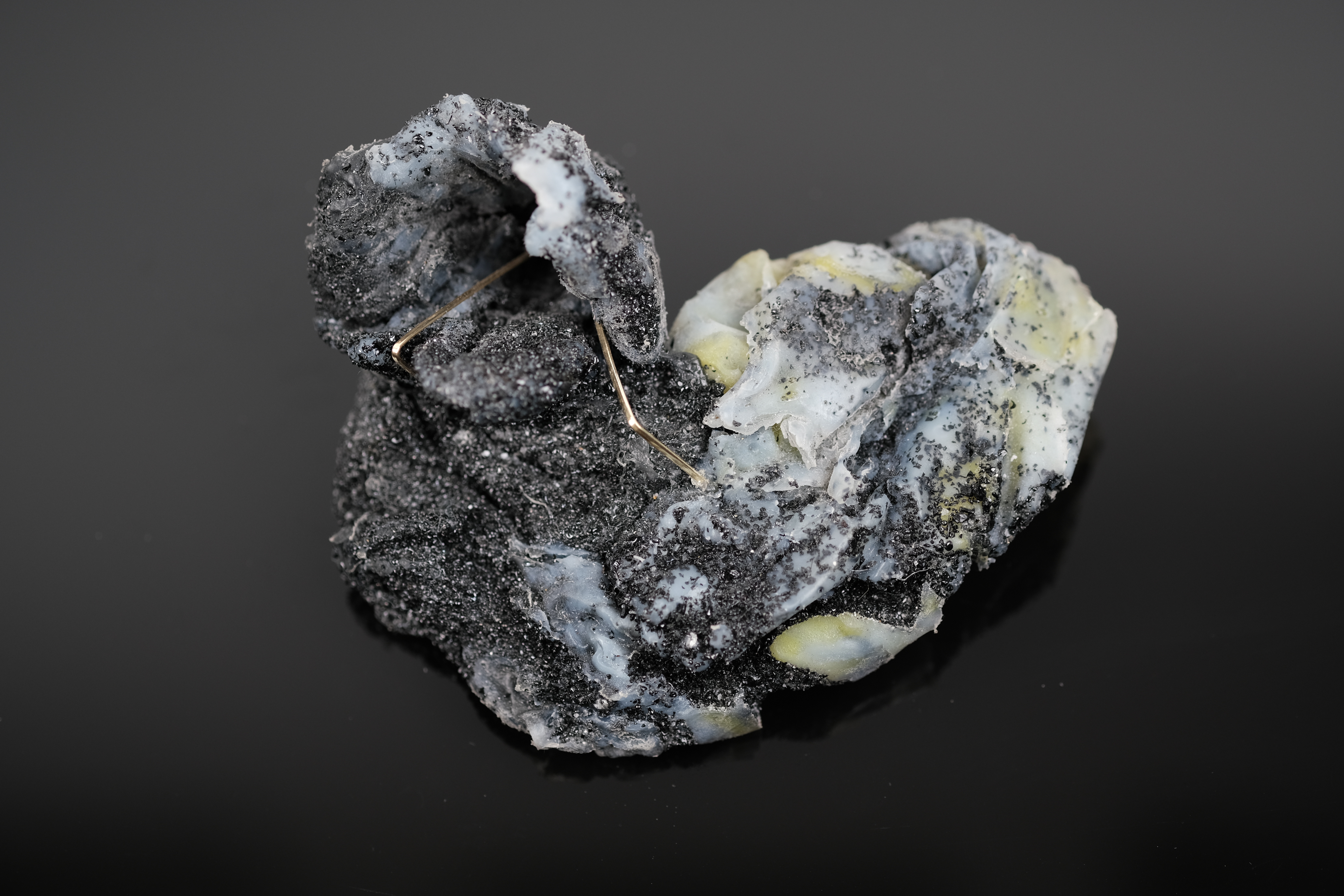 Jelizaveta Suska - Frozen Moment The Night