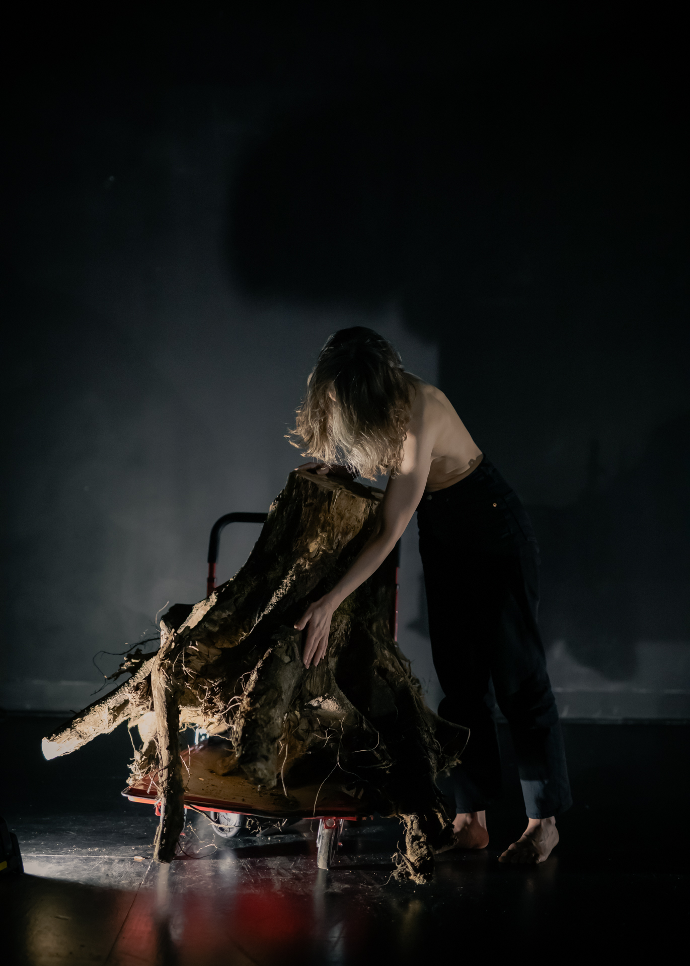 Fotograf: Andrej Lamut