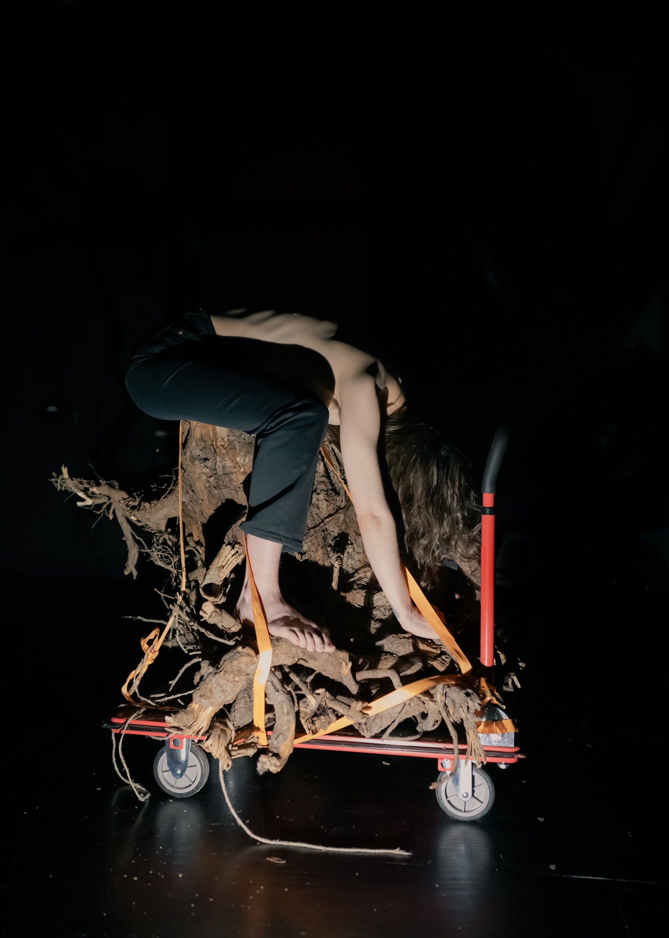 Fotograf: Andrej Lamut