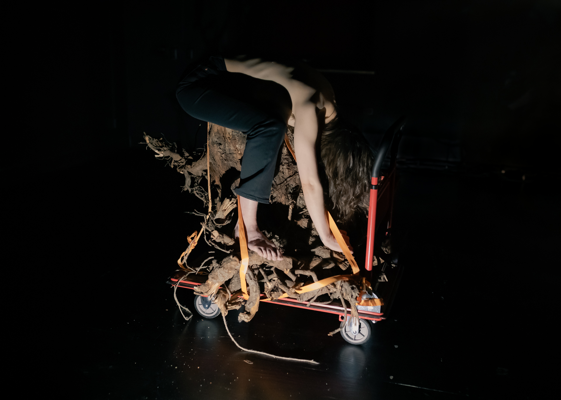 Fotograf: Andrej Lamut